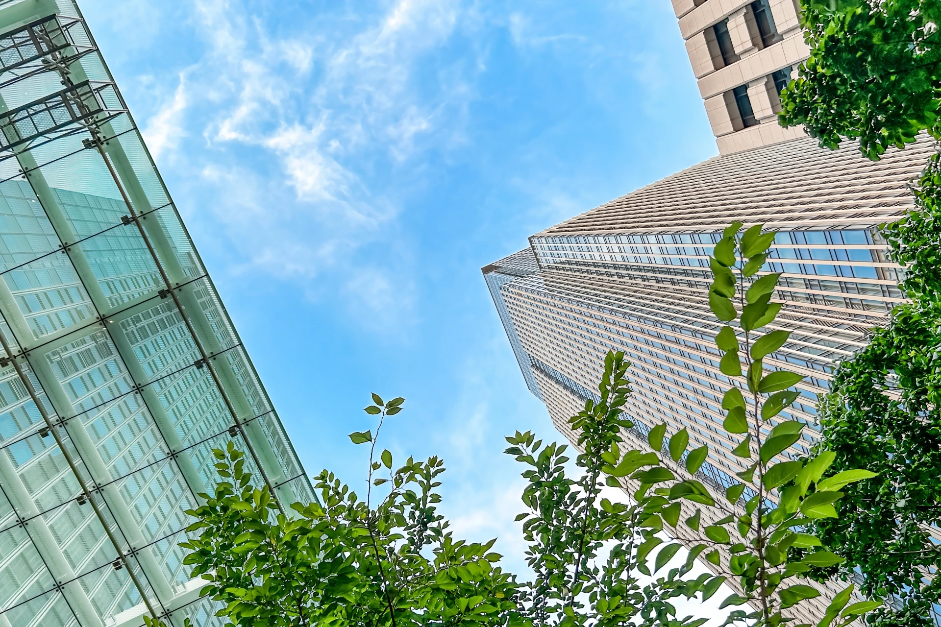 AINTEX Office